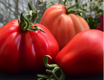 italian red pear